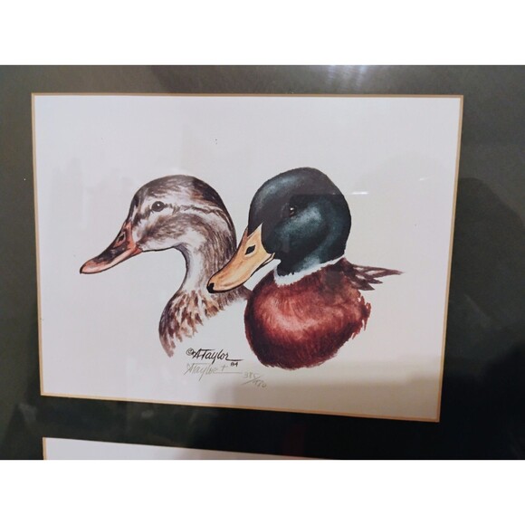 Alice Taylor Duck Prints, Signed, Numbered & Framed 1984, 4 Reflections Mallards - Picture 2 of 10